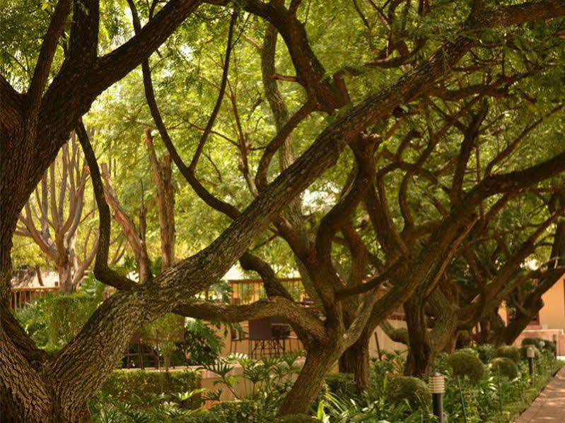 Black Eagle Hotel & Spa Roodepoort Luaran gambar